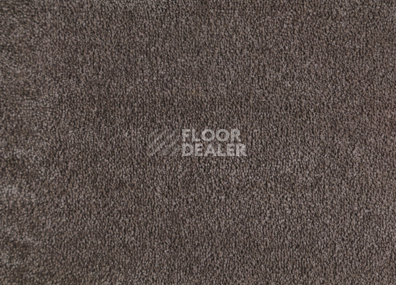 Ковролин  Mocco фото 1 | FLOORDEALER